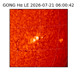 gong - 2026-07-21T06:00:42