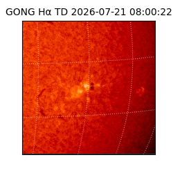 gong - 2026-07-21T08:00:22