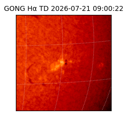 gong - 2026-07-21T09:00:22