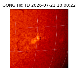 gong - 2026-07-21T10:00:22