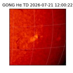 gong - 2026-07-21T12:00:22