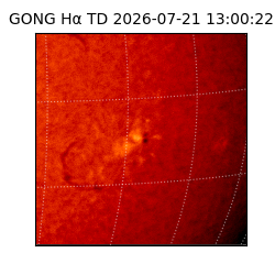 gong - 2026-07-21T13:00:22