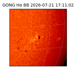 gong - 2026-07-21T17:11:02