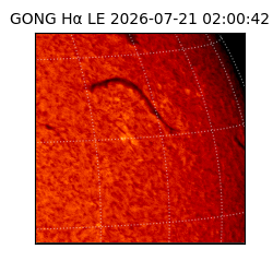 gong - 2026-07-21T02:00:42