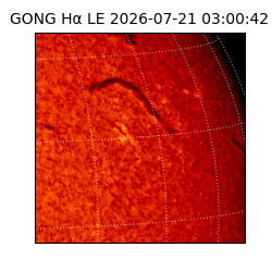gong - 2026-07-21T03:00:42