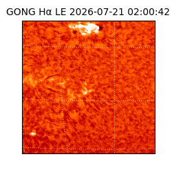 gong - 2026-07-21T02:00:42
