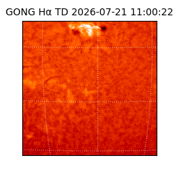 gong - 2026-07-21T11:00:22