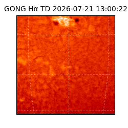gong - 2026-07-21T13:00:22