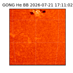 gong - 2026-07-21T17:11:02