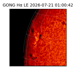 gong - 2026-07-21T01:00:42
