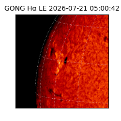 gong - 2026-07-21T05:00:42