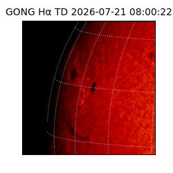 gong - 2026-07-21T08:00:22