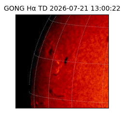 gong - 2026-07-21T13:00:22