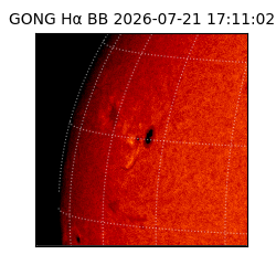 gong - 2026-07-21T17:11:02