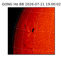 gong - 2026-07-21T19:00:02