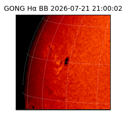 gong - 2026-07-21T21:00:02