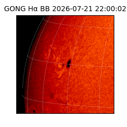 gong - 2026-07-21T22:00:02