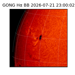 gong - 2026-07-21T23:00:02