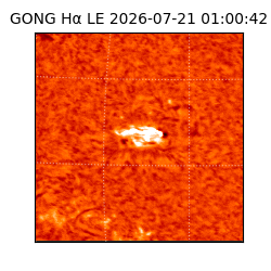 gong - 2026-07-21T01:00:42
