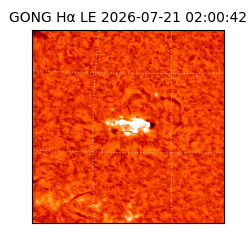 gong - 2026-07-21T02:00:42