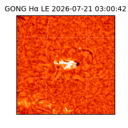 gong - 2026-07-21T03:00:42