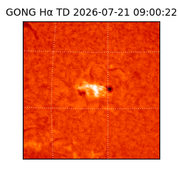 gong - 2026-07-21T09:00:22