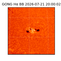 gong - 2026-07-21T20:00:02