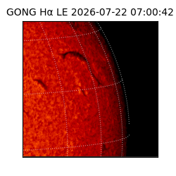 gong - 2026-07-22T07:00:42