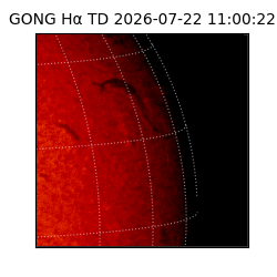 gong - 2026-07-22T11:00:22