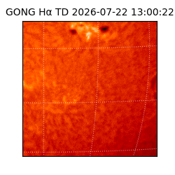 gong - 2026-07-22T13:00:22
