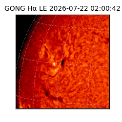 gong - 2026-07-22T02:00:42
