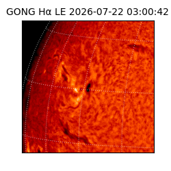 gong - 2026-07-22T03:00:42