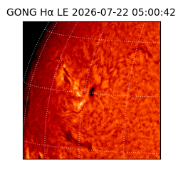 gong - 2026-07-22T05:00:42