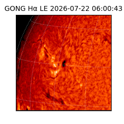 gong - 2026-07-22T06:00:43