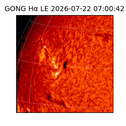 gong - 2026-07-22T07:00:42