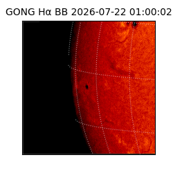 gong - 2026-07-22T01:00:02