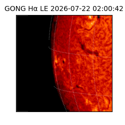 gong - 2026-07-22T02:00:42