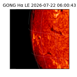 gong - 2026-07-22T06:00:43