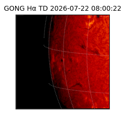 gong - 2026-07-22T08:00:22