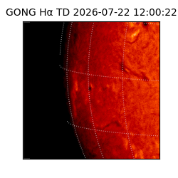 gong - 2026-07-22T12:00:22