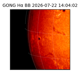 gong - 2026-07-22T14:04:02