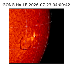 gong - 2026-07-23T04:00:42