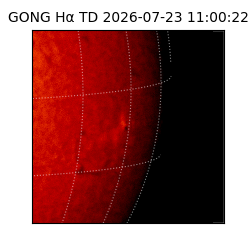 gong - 2026-07-23T11:00:22