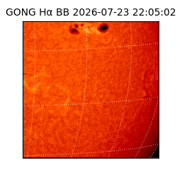 gong - 2026-07-23T22:05:02