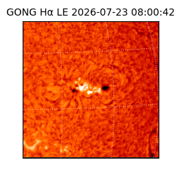 gong - 2026-07-23T08:00:42