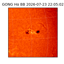 gong - 2026-07-23T22:05:02