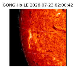 gong - 2026-07-23T02:00:42