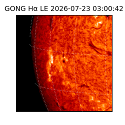 gong - 2026-07-23T03:00:42