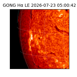 gong - 2026-07-23T05:00:42