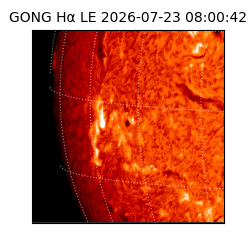 gong - 2026-07-23T08:00:42